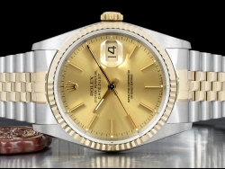 Rolex Datejust 36 Champagne Jubilee Crissy Dial 16233 